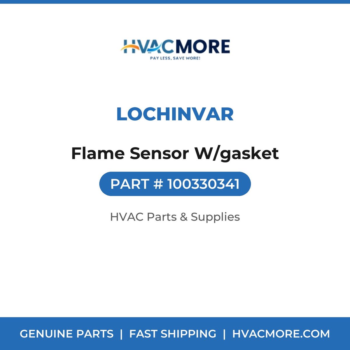 Lochinvar Flame Sensor W/gasket 100330341