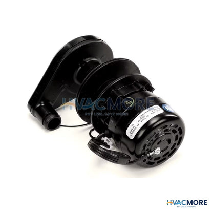 Manitowoc Ice Water Pump Assembly 000013434