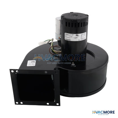Raypak Combustion Air Blower (Right Hand) 007414F