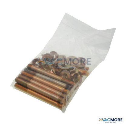 Raypak Stud Bolt Kit 009104F