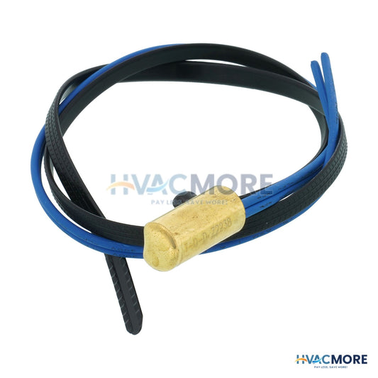 Raypak Water Sensor 010787F