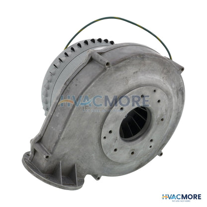 Raypak Combustion Air Blower Assembly 013195F