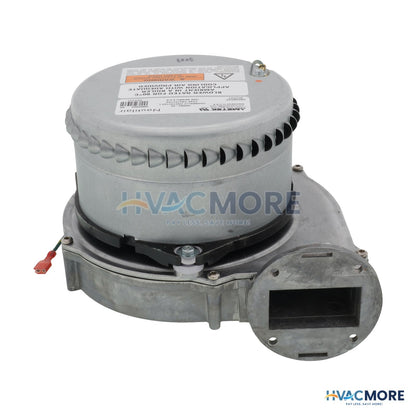 Raypak Combustion Air Blower Assembly 013195F