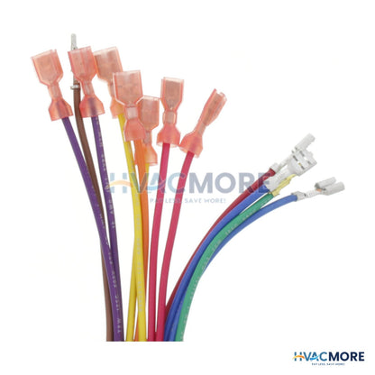 Goodman-Amana 12 Pin Replacement Wiring Harness 0259F00007P