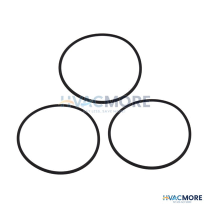 Emerson Flow Controls BTAS 3 Seal Ring Kit 066431