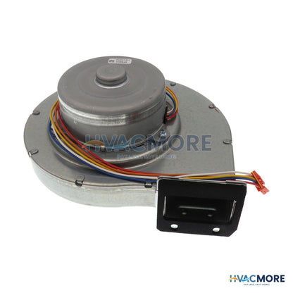 Takagi Fan Motor 100074606