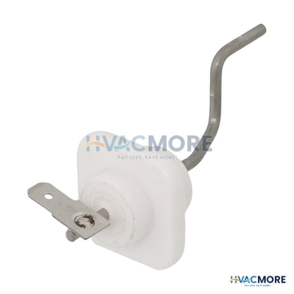 Takagi Flame Rod 100076242