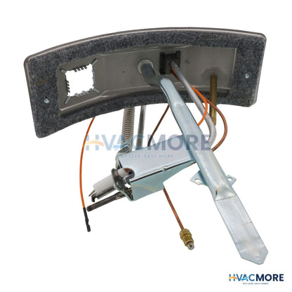 AO Smith Kit, Fg, Door Switch, Nat, FG40T40 100093811