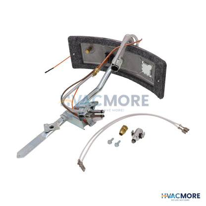 AO Smith Kit, Fg, Door Switch, Nat, FG50T40 100093812
