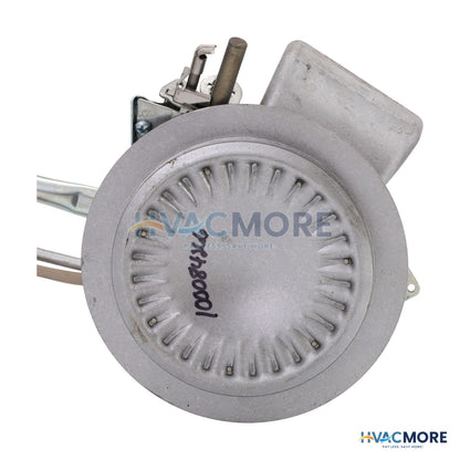 AO Smith Burner Assembly 100093991