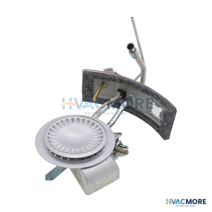 AO Smith Burner Assembly for Natural Gas 100093992