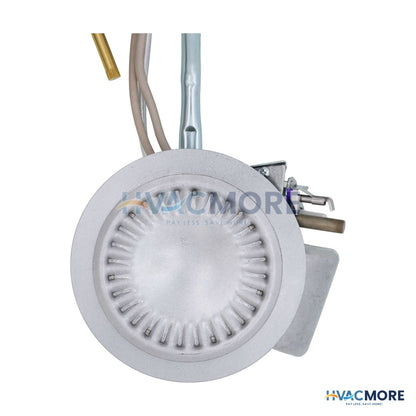 AO Smith Burner Assembly for Natural Gas 100093992