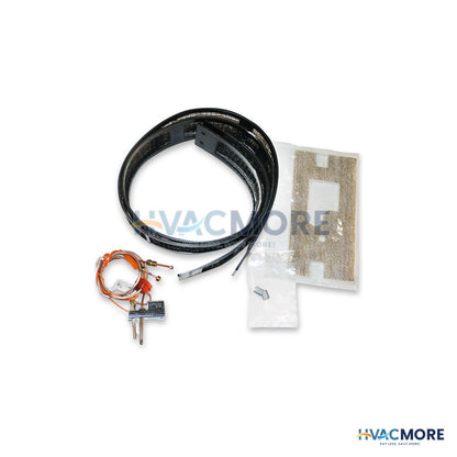 AO Smith FV Pilot Assembly, 180° 100109290