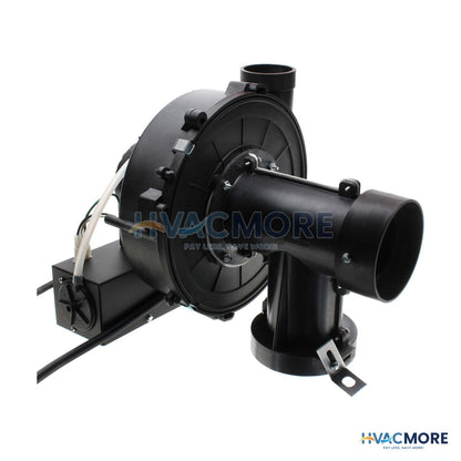 AO Smith Blower Assembly, Model FPSH-40/50, Series 236/237 100109862