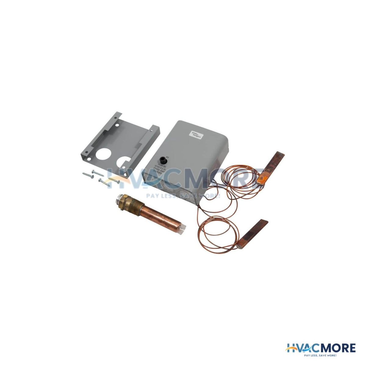 AO Smith Dual Temperature Control 100109896