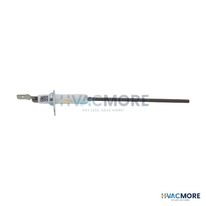 AO Smith Flame Sensor Kit 100109908