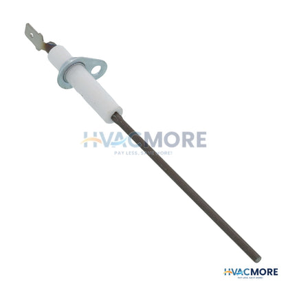 AO Smith Flame Sensor Kit 100109908