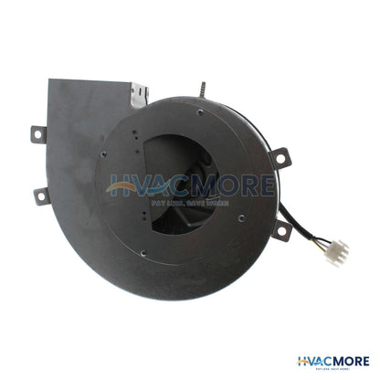 AO Smith BTN Blower Assembly 100110631