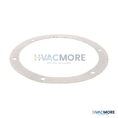 AO Smith 8" Gasket 100110893