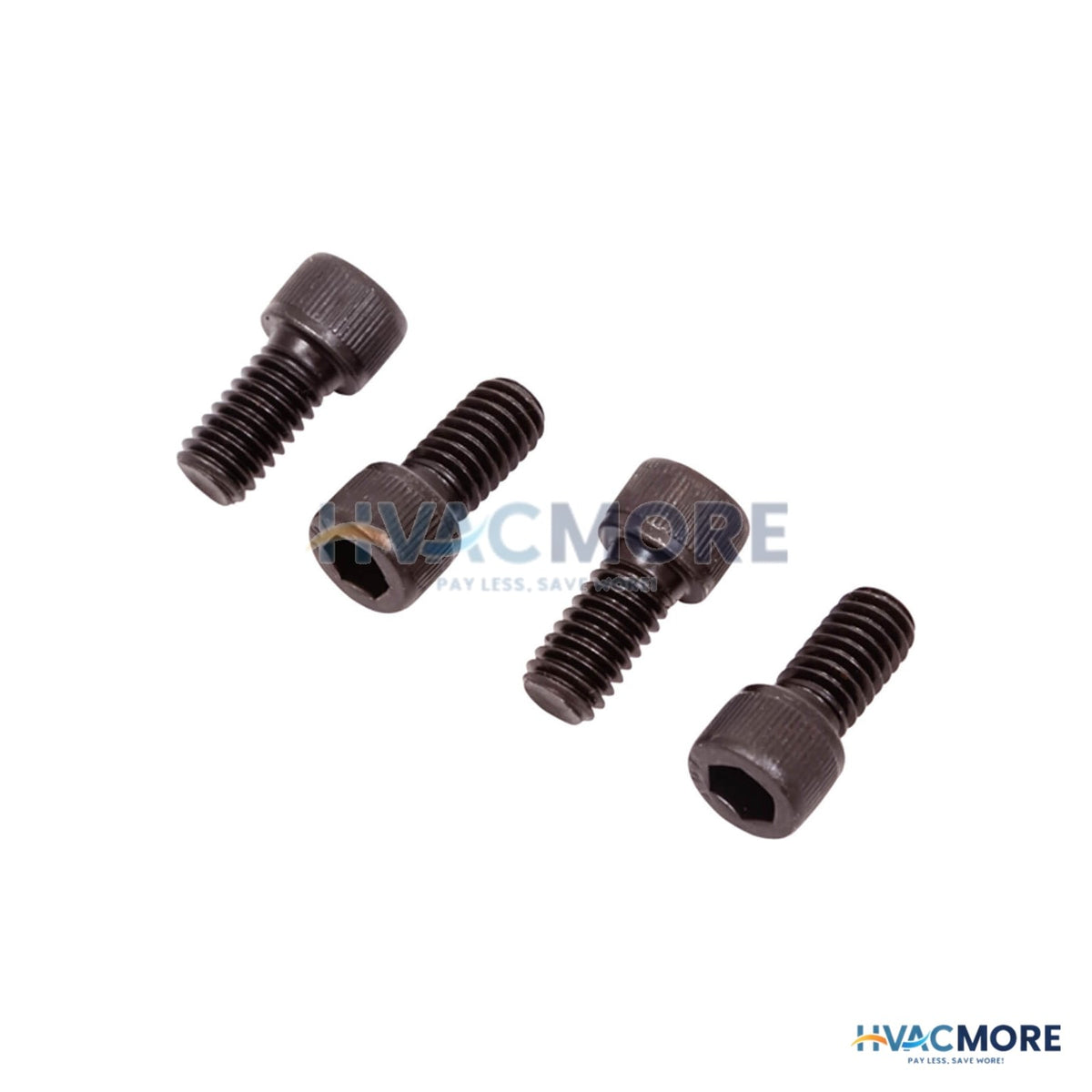 AO Smith Socket Head Screw Cap 100110903