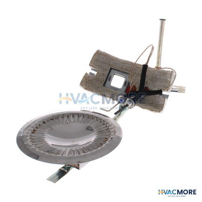 AO Smith Burner Assembly 100110976