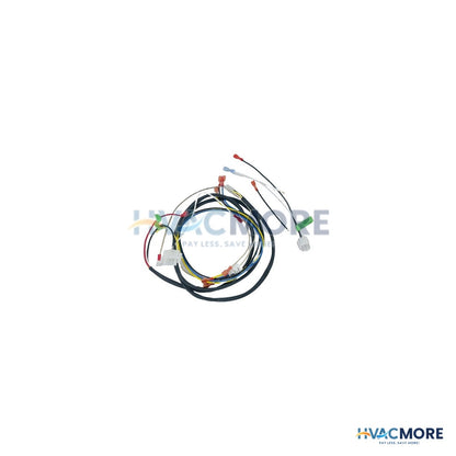 AO Smith Kit, Wire Assembly Set 100111223