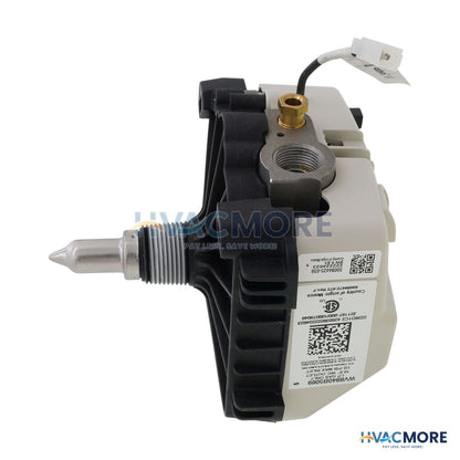 AO Smith Gas Control Valve Kit (LP Gas) 100112338