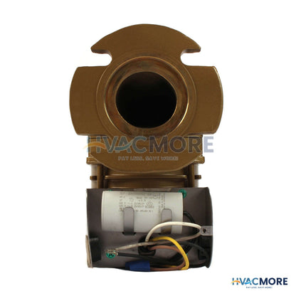 Lochinvar 1/6 HP Pump and Motor 100133620