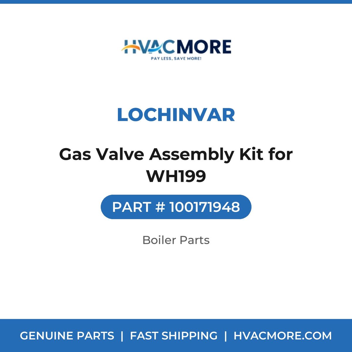 Lochinvar Gas Valve Assembly Kit for WH199 100171948