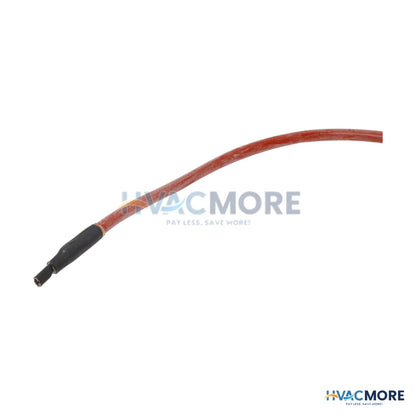 Lochinvar Spark Electrode Wiring Harness 100208623