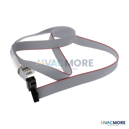 Lochinvar Ribbon Cable 100208636