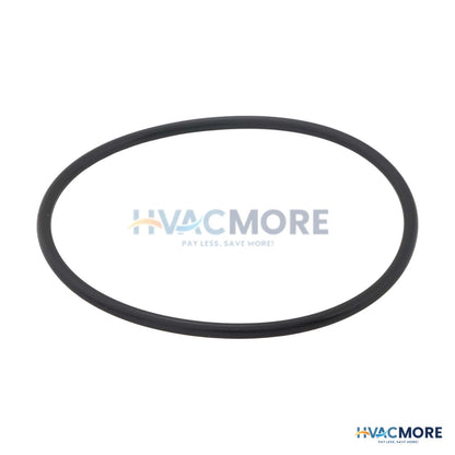 Lochinvar Gasket, Venturi O-ring 100208761