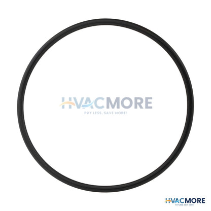 Lochinvar Gasket, Venturi O-ring 100208761