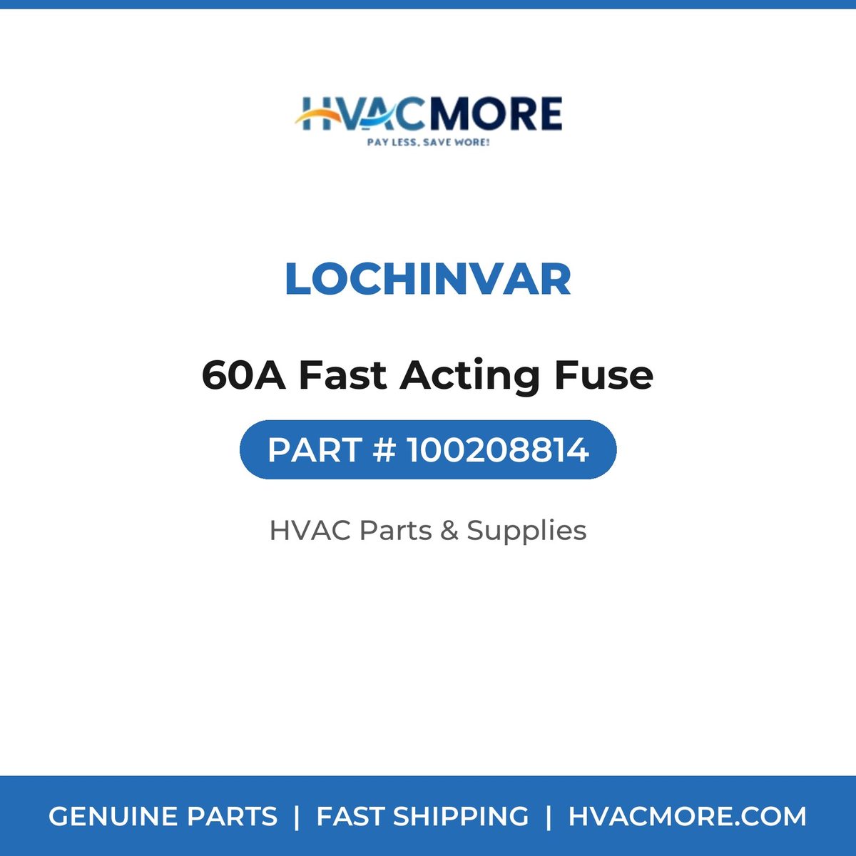 Lochinvar 60A Fast Acting Fuse 100208814