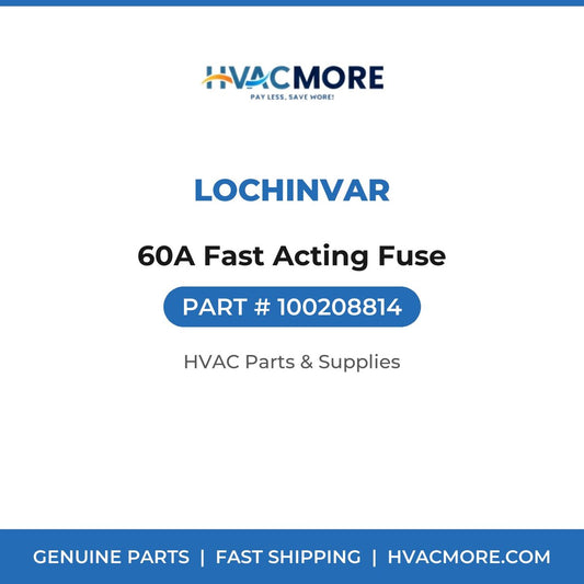 Lochinvar 60A Fast Acting Fuse 100208814