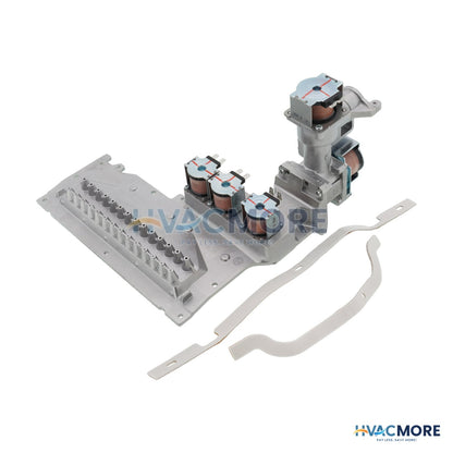 AO Smith Manifold/Gas Valve Assembly (Natural Gas) 100224093