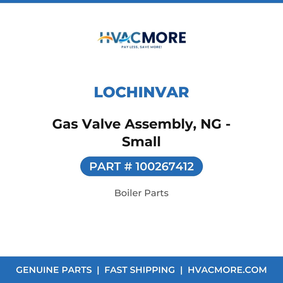 Lochinvar Gas Valve Assembly, NG - Small 100267412