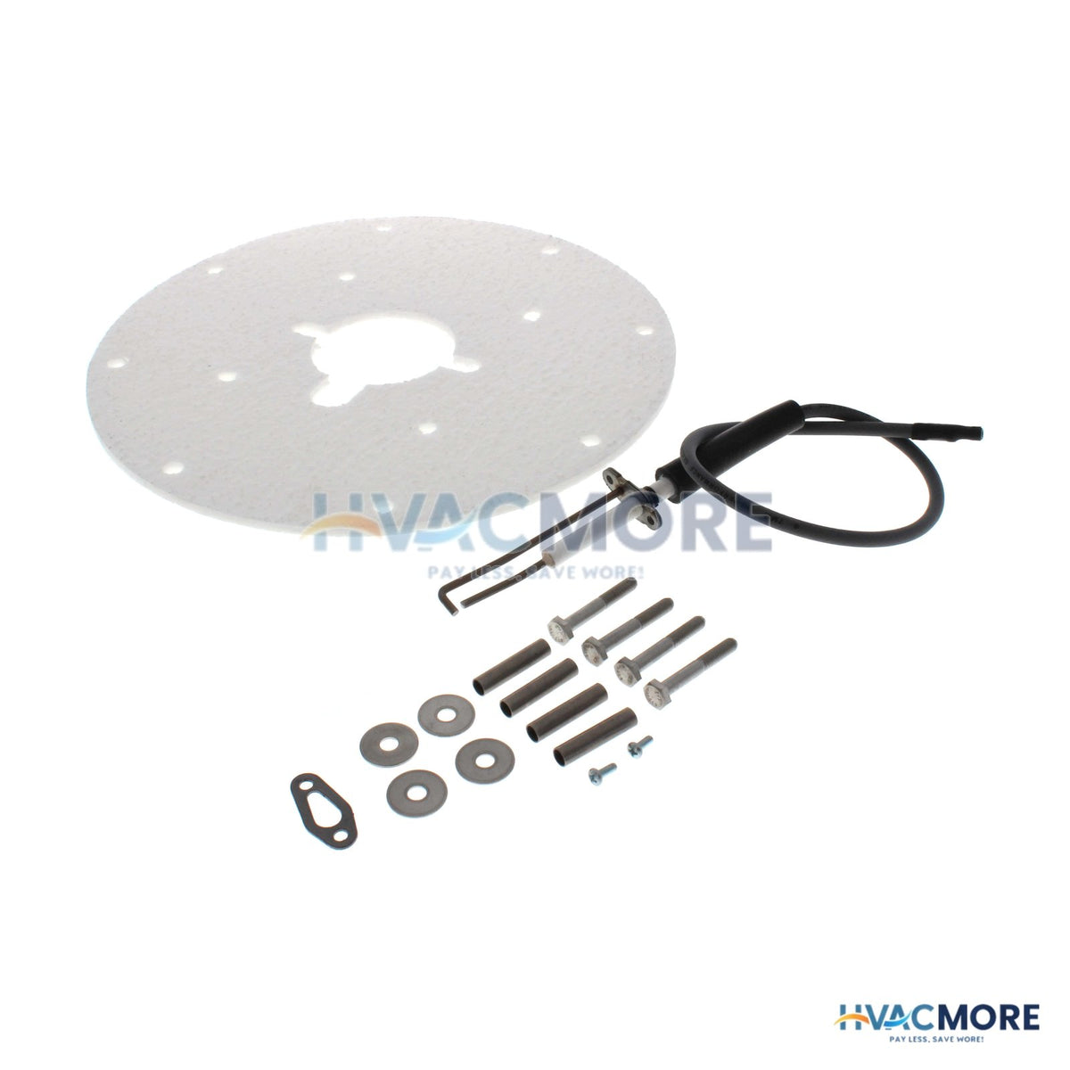 AO Smith Spark Ignitor Assembly 100271889