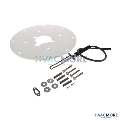 AO Smith Spark Ignitor Assembly 100271889