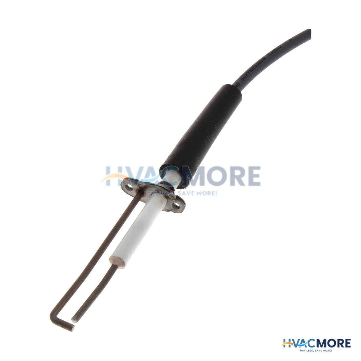 AO Smith Spark Ignitor Assembly 100271889