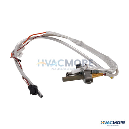 AO Smith Thermopile Assembly 100281571