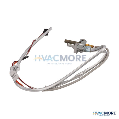 AO Smith Thermopile Assembly 100281571