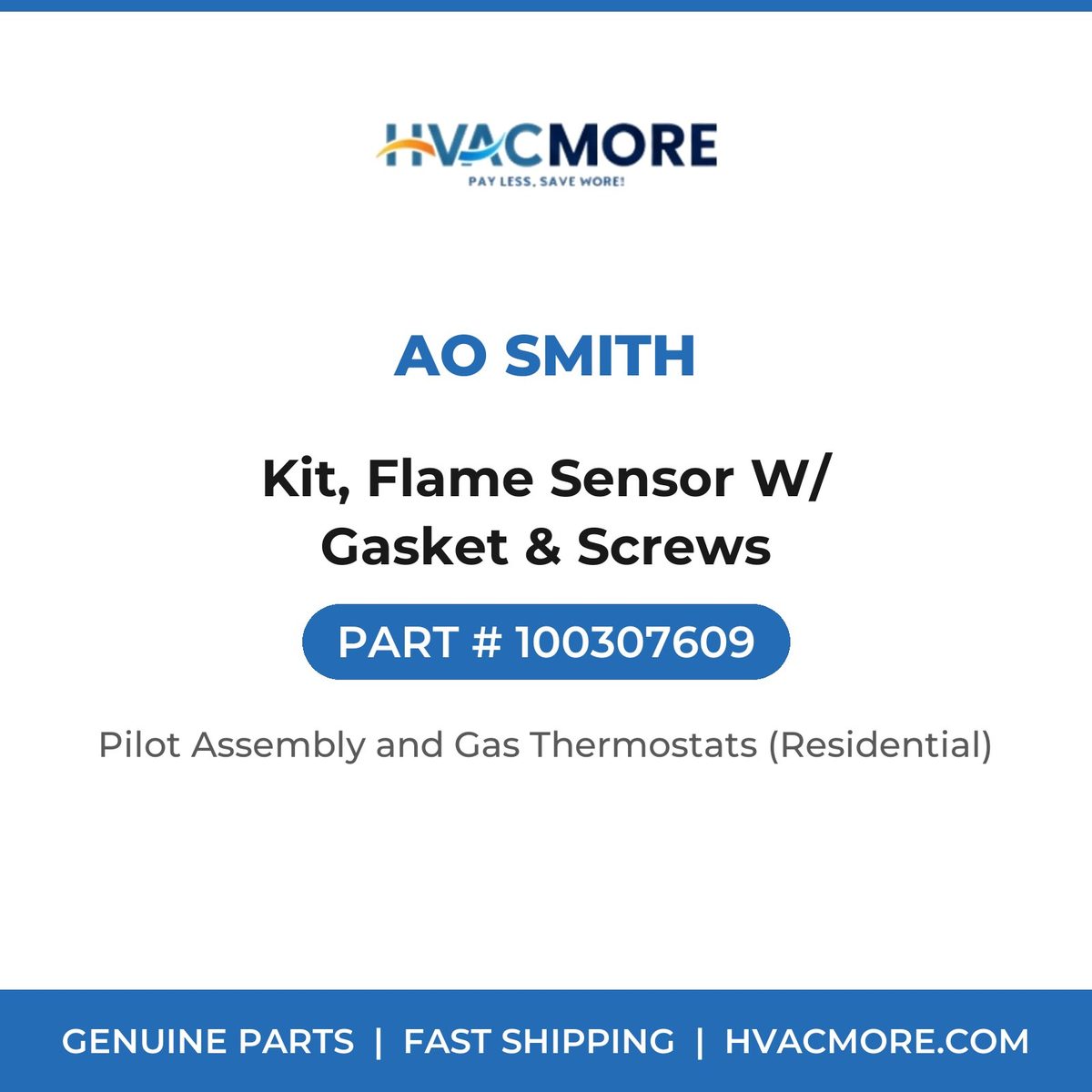 AO Smith Kit, Flame Sensor W/ Gasket & Screws 100307609