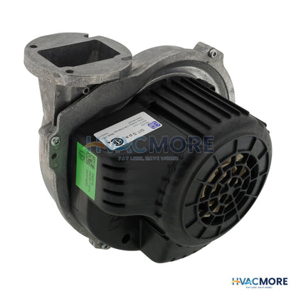 Lochinvar Fan Assembly W/ Gasket 100318771