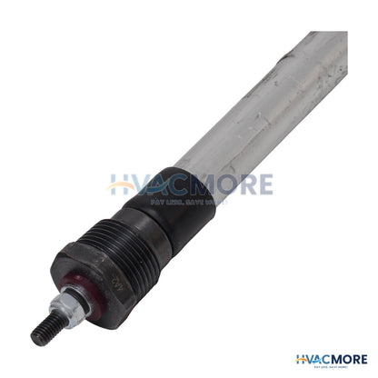 AO Smith Aluminum Anode Rod (0.75" Dia.) 100358464