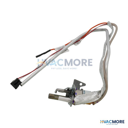 AO Smith NG Pilot Assembly W/ Tube 100368388