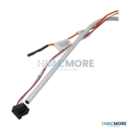 AO Smith NG Pilot Assembly W/ Tube 100368388