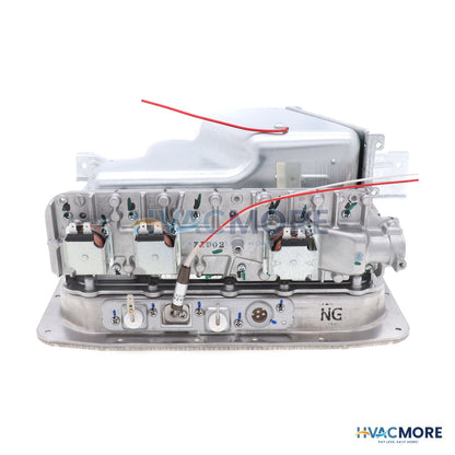 Rinnai Burner Assembly 106000104