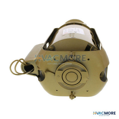 Bell & Gossett 1/12 HP, Series 100 Bronze BNFI Circulator Pump 106197LF
