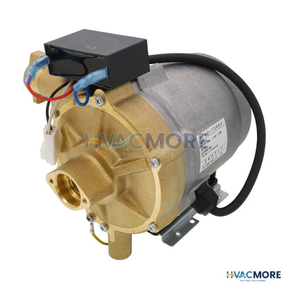 Rinnai Circulation Pump Assembly 107000302